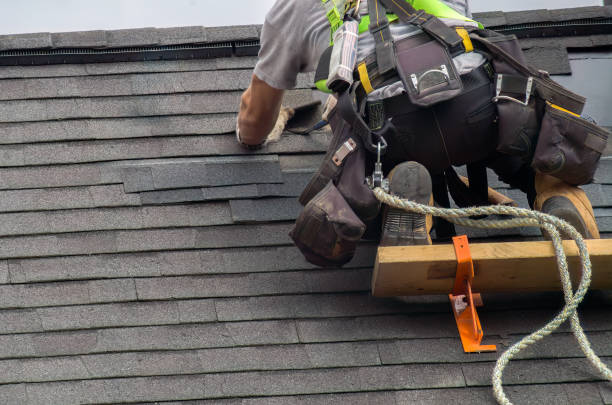 Best Roof Repair Services  in Fox Lake, WI